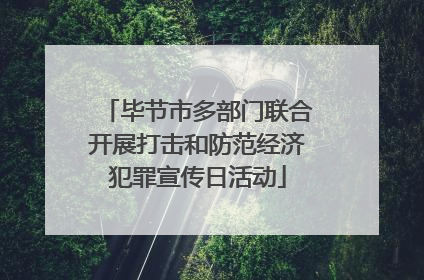 毕节市多部门联合开展打击和防范经济犯罪宣传日活动